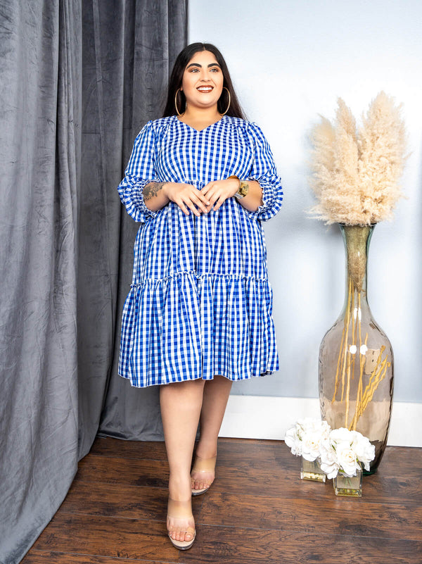 Gingham Blue Dress